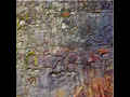 click to show details of Big Paintings | Jim Hunter + Frank Bowling - invitation card