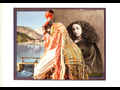 click to show details of Syrcas | Maud Sulter