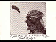 Click to view details and links for The Ballad of the Wing - Chisenhale invite