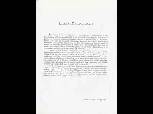 image of Bird Paintings - Aubrey Williams Artist&rsquo;s Statement